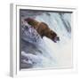 Brown Bear Catching Salmon-DLILLC-Framed Photographic Print