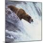 Brown Bear Catching Salmon-DLILLC-Mounted Photographic Print