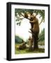 Brown Bear Climbing a Tree, Attracted by Honey-null-Framed Giclee Print