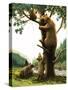 Brown Bear Climbing a Tree, Attracted by Honey-null-Stretched Canvas