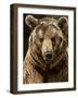 Brown Bear Close-Up Shot-NejroN Photo-Framed Photographic Print