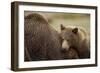 Brown Bear Cub and Sow, Katmai National Park, Alaska-Paul Souders-Framed Photographic Print