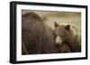 Brown Bear Cub and Sow, Katmai National Park, Alaska-Paul Souders-Framed Photographic Print