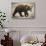 Brown Bear Cub at Geographic Harbor in Katmai National Park-Paul Souders-Stretched Canvas displayed on a wall
