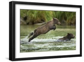 Brown Bear Cub, Katmai National Park, Alaska-Paul Souders-Framed Photographic Print