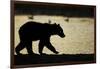 Brown Bear Cub, Katmai National Park, Alaska-Paul Souders-Framed Photographic Print