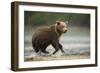 Brown Bear Cub on Beach at Geographic Harbor-Paul Souders-Framed Photographic Print