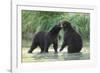 Brown Bear Cubs, Katmai National Park, Alaska-Paul Souders-Framed Photographic Print