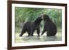 Brown Bear Cubs, Katmai National Park, Alaska-Paul Souders-Framed Photographic Print