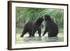 Brown Bear Cubs, Katmai National Park, Alaska-Paul Souders-Framed Photographic Print