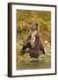 Brown Bear Cubs, Katmai National Park, Alaska-Paul Souders-Framed Photographic Print