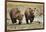 Brown Bear Cubs, Katmai National Park, Alaska-Paul Souders-Framed Photographic Print