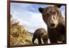 Brown Bear Cubs, Katmai National Park, Alaska-null-Framed Photographic Print