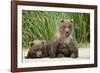 Brown Bear Cubs, Katmai National Park, Alaska-Paul Souders-Framed Photographic Print