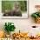 Brown Bear Cubs, Katmai National Park, Alaska-Paul Souders-Framed Photographic Print displayed on a wall