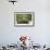 Brown Bear Cubs, Katmai National Park, Alaska-Paul Souders-Framed Photographic Print displayed on a wall