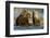 Brown Bear Cubs, Katmai National Park, Alaska-Paul Souders-Framed Photographic Print