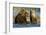 Brown Bear Cubs, Katmai National Park, Alaska-Paul Souders-Framed Photographic Print