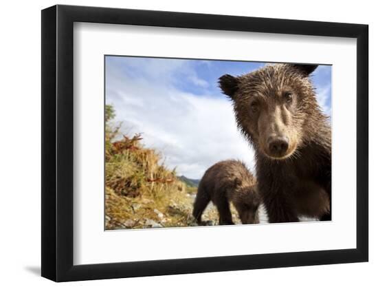 Premium Photographic Print, , large