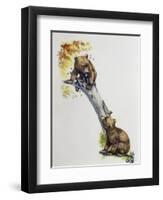 Brown Bear Cubs (Ursus Arctos), Ursidae, Drawing-null-Framed Giclee Print