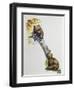 Brown Bear Cubs (Ursus Arctos), Ursidae, Drawing-null-Framed Giclee Print