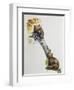 Brown Bear Cubs (Ursus Arctos), Ursidae, Drawing-null-Framed Giclee Print