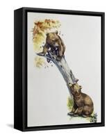 Brown Bear Cubs (Ursus Arctos), Ursidae, Drawing-null-Framed Stretched Canvas
