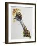 Brown Bear Cubs (Ursus Arctos), Ursidae, Drawing-null-Framed Giclee Print