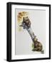 Brown Bear Cubs (Ursus Arctos), Ursidae, Drawing-null-Framed Giclee Print