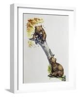 Brown Bear Cubs (Ursus Arctos), Ursidae, Drawing-null-Framed Giclee Print