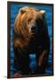 Brown Bear Eating Sockeye Salmon-null-Framed Premium Photographic Print