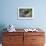 Brown Bear Fishing in Salmon Stream, Katmai National Park, Alaska-Paul Souders-Framed Photographic Print displayed on a wall