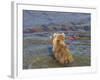 Brown bear fishing in shallow waters, Katmai National Park, Alaska, USA-Art Wolfe-Framed Photographic Print