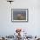 Brown bear fishing in shallow waters, Katmai National Park, Alaska, USA-Art Wolfe-Framed Photographic Print displayed on a wall