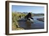 Brown Bear Fishing, Katmai National Park, Alaska-Paul Souders-Framed Photographic Print