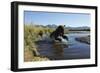 Brown Bear Fishing, Katmai National Park, Alaska-Paul Souders-Framed Photographic Print