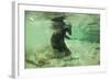 Brown Bear Fishing Underwater, Katmai National Park, Alaska-Paul Souders-Framed Photographic Print