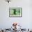 Brown Bear Fishing Underwater, Katmai National Park, Alaska-Paul Souders-Framed Photographic Print displayed on a wall