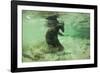 Brown Bear Fishing Underwater, Katmai National Park, Alaska-Paul Souders-Framed Photographic Print