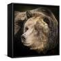 Brown Bear, Grizzly, Ursus Arctos, West Yellowstone, Montana-Maresa Pryor-Framed Stretched Canvas