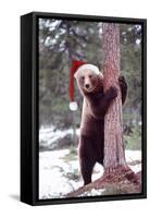 Brown Bear Hugging Tree, Wearing Christmas Hat-null-Framed Stretched Canvas