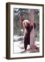 Brown Bear Hugging Tree, Wearing Christmas Hat-null-Framed Photographic Print