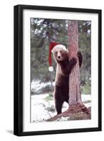 Brown Bear Hugging Tree, Wearing Christmas Hat-null-Framed Photographic Print