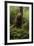 Brown Bear in a Green Forest-null-Framed Art Print