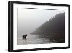 Brown Bear in Fog, Katmai National Park, Alaska-Paul Souders-Framed Photographic Print