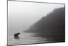 Brown Bear in Fog, Katmai National Park, Alaska-Paul Souders-Mounted Photographic Print