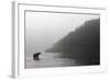 Brown Bear in Fog, Katmai National Park, Alaska-Paul Souders-Framed Photographic Print