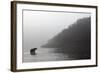 Brown Bear in Fog, Katmai National Park, Alaska-Paul Souders-Framed Photographic Print