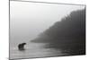 Brown Bear in Fog, Katmai National Park, Alaska-Paul Souders-Mounted Photographic Print