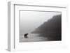 Brown Bear in Fog, Katmai National Park, Alaska-Paul Souders-Framed Photographic Print